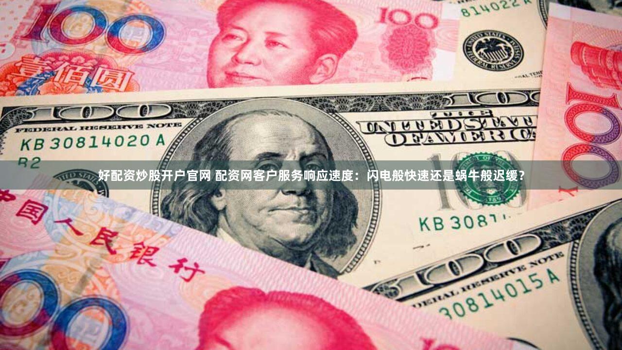 好配资炒股开户官网 配资网客户服务响应速度：闪电般快速还是蜗牛般迟缓？