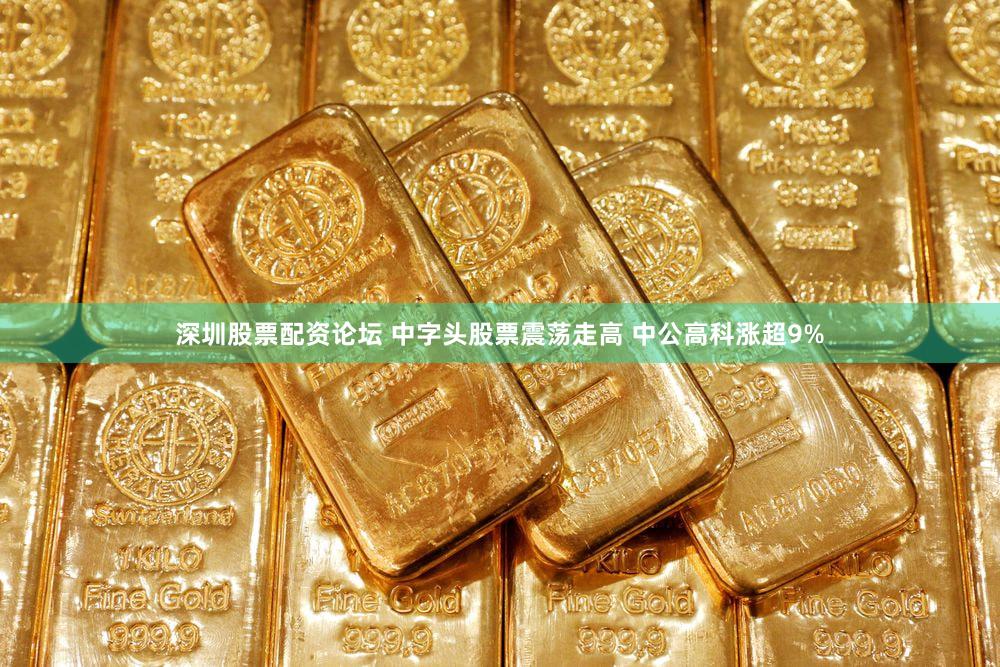 深圳股票配资论坛 中字头股票震荡走高 中公高科涨超9%