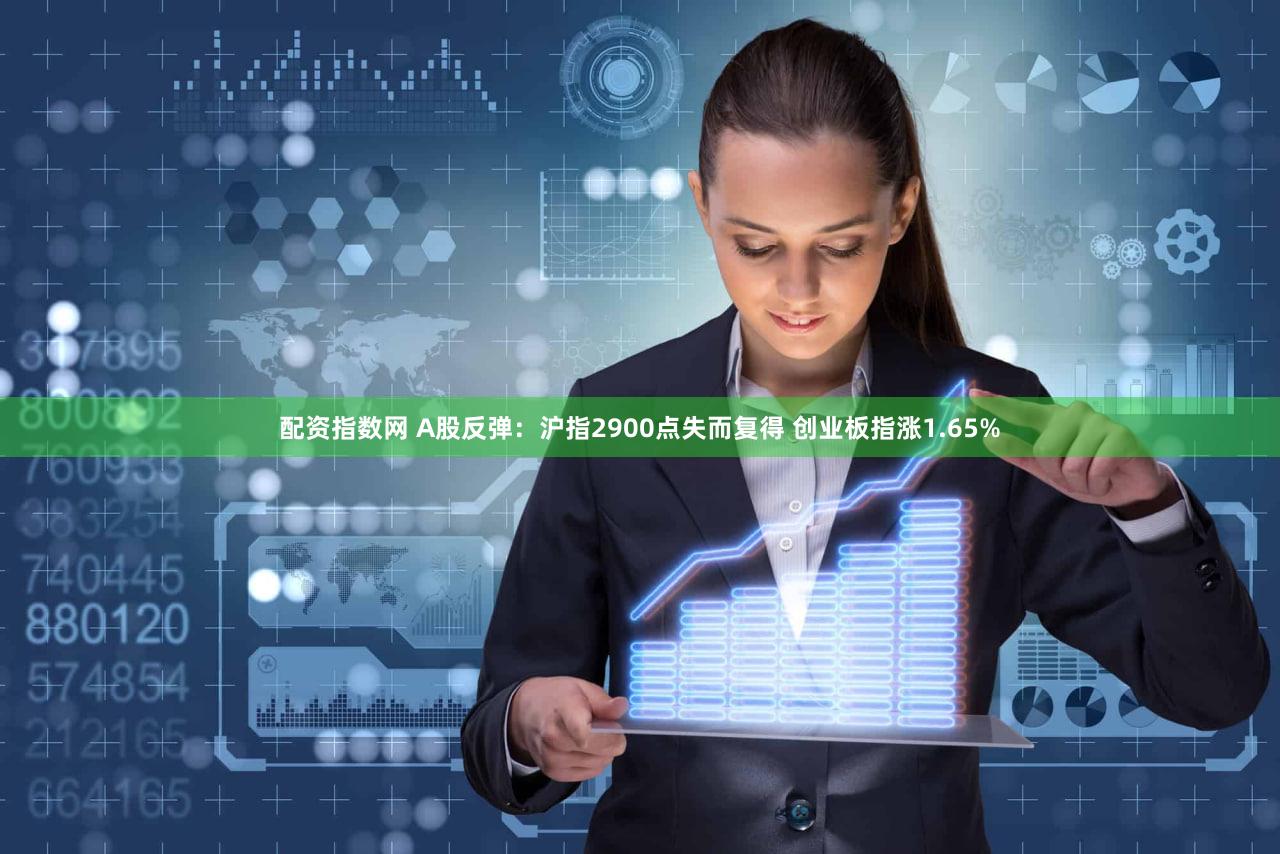 配资指数网 A股反弹：沪指2900点失而复得 创业板指涨1.65%