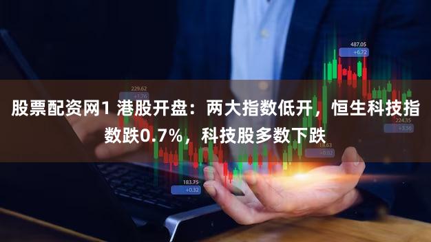 股票配资网1 港股开盘：两大指数低开，恒生科技指数跌0.7%，科技股多数下跌