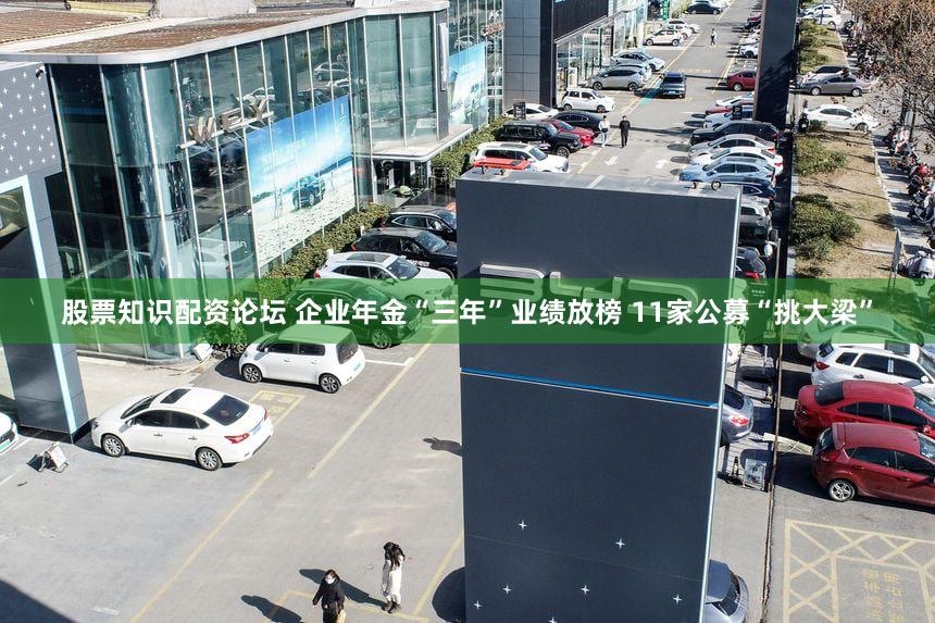 股票知识配资论坛 企业年金“三年”业绩放榜 11家公募“挑大梁”