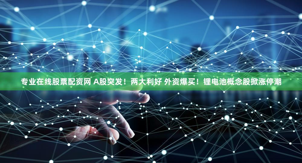 专业在线股票配资网 A股突发！两大利好 外资爆买！锂电池概念股掀涨停潮