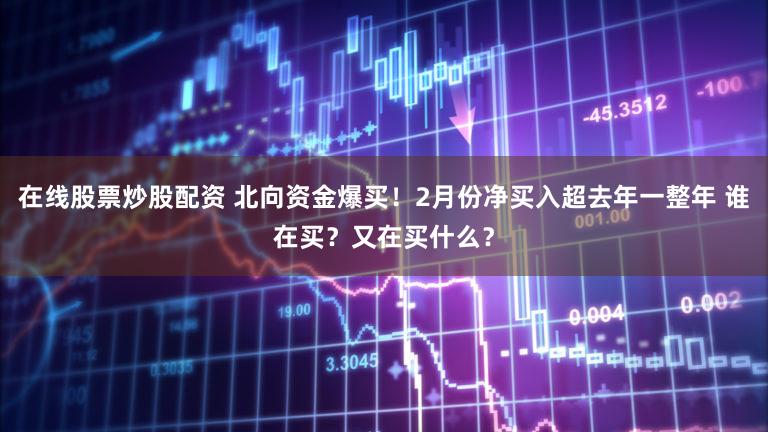 在线股票炒股配资 北向资金爆买!2月份净买入超去年一整年 谁在买?又在买什么?