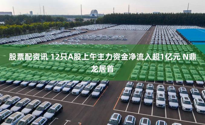 股票配资讯 12只A股上午主力资金净流入超1亿元 N鼎龙居首