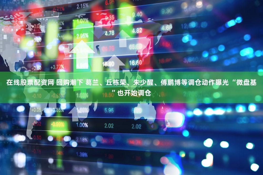 在线股票配资网 回购潮下 葛兰、丘栋荣、朱少醒、傅鹏博等调仓动作曝光 “微盘基”也开始调仓