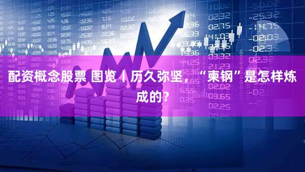 配资概念股票 图览丨历久弥坚，“柬钢”是怎样炼成的？