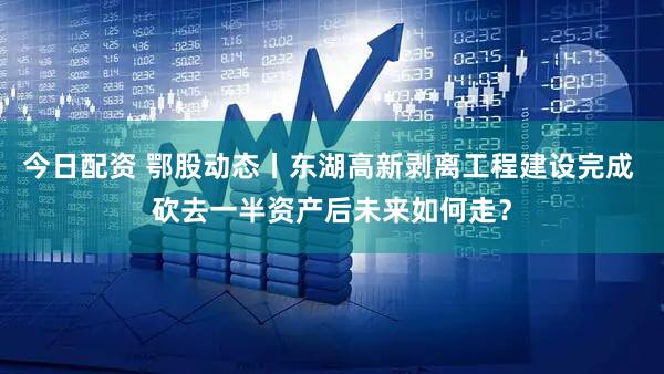 今日配资 鄂股动态丨东湖高新剥离工程建设完成 砍去一半资产后未来如何走？